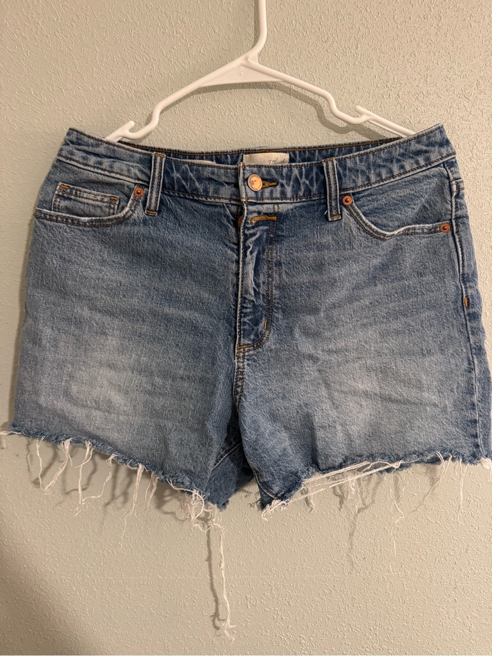 Universal Thread Distressed Jean Shorts